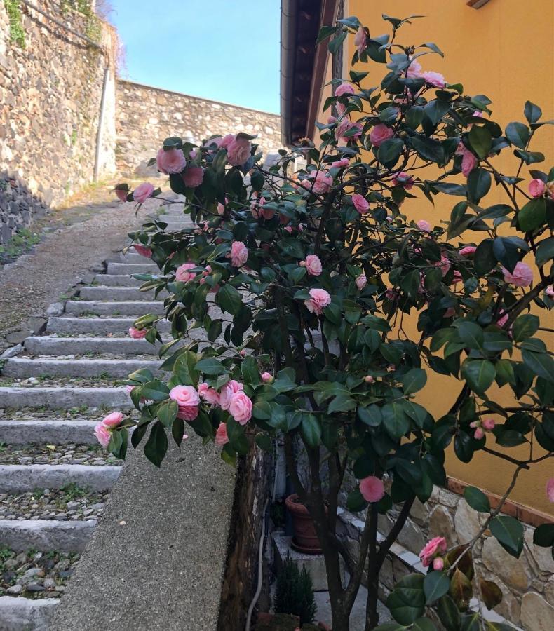 B&B Alle Scalette Trissino Exterior photo